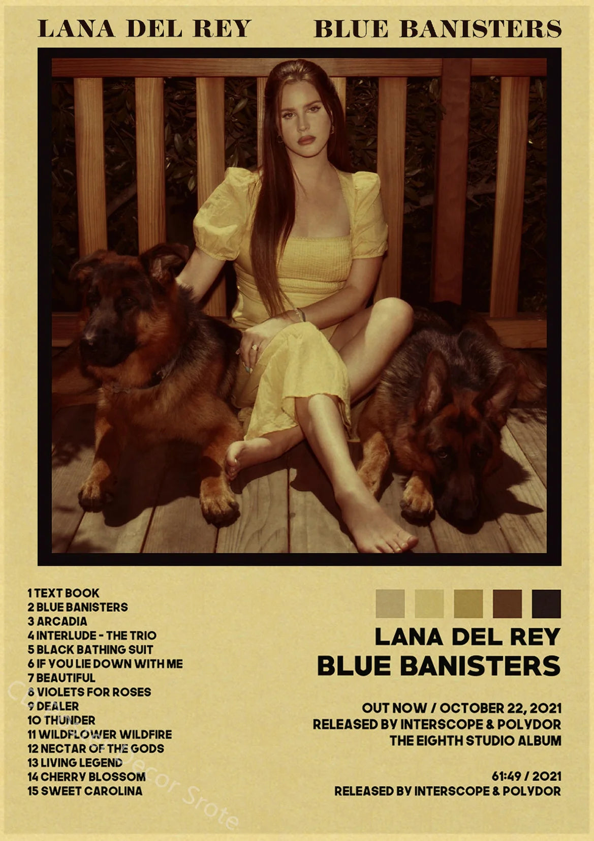 Singer Lana Del Rey Poster